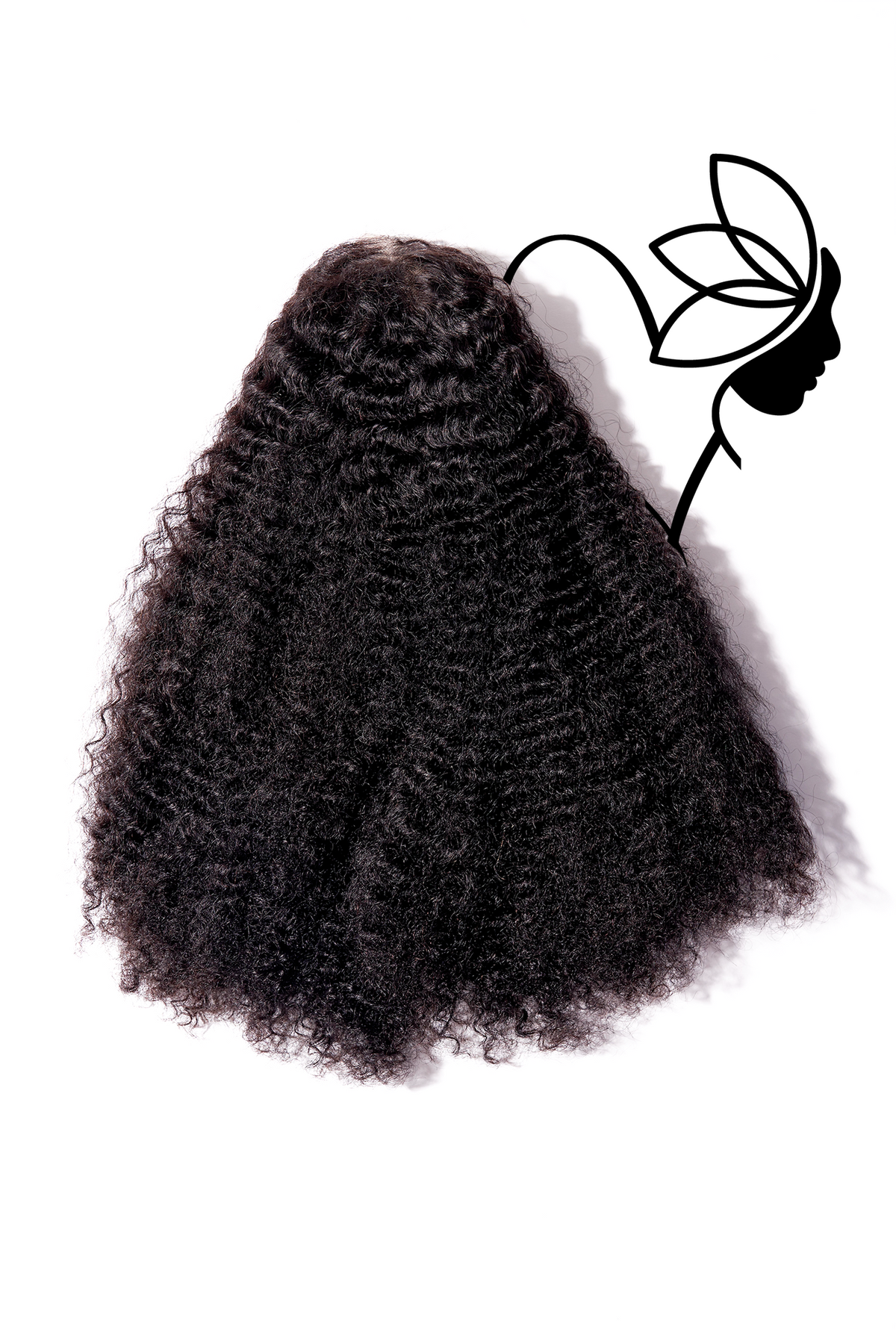 Full Lace HD Wig Curly Burmese raw