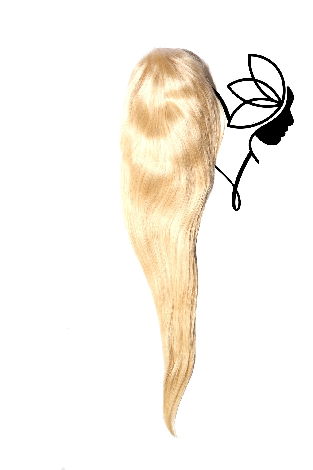 HD Full Lace Blonde Frontal Wig straight